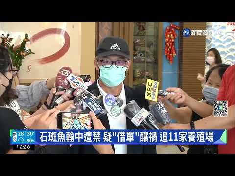 石斑魚輸中遭禁 疑"借單"釀禍 追11家養殖場｜華視新聞 20220616