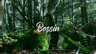 Arizona Zervas - Bossin (Prod Kin Rich)