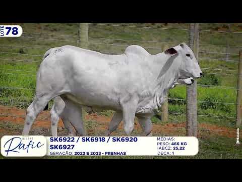 LOTE 78   SK 6922  6920  6927  6918