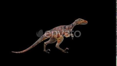 Red Deinonychus Walk | Motion Graphics - Envato elements