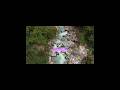 Muslim content video audio content #share #shortvideo #shortvideo