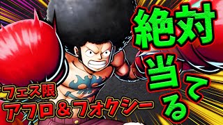 【バウンティラッシュ】新フェス限アフロ＆フォクシー性能評価！強いのか検証！