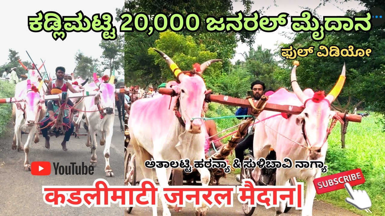 ಕಡ್ಲಿಮಟ್ಟಿ ಜನರಲ್ ಮೈದಾನ| 1) ಹರನ್ಯಾ & ನಾಗ್ಯಾ 2)ರೆಬಿನಾಳ & ಬಿಸನಾಳ 3) ಜಂಡ್ರಾಮಕುಂಟಿ & ಕಾಶಿನಕುಂಟಿ