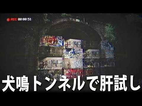 日本の犬鳴トンネルで肝試しが出来るウォーキングシミュレーターが怖過ぎた【アフロマスク】