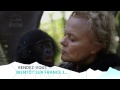 Teaser sur la terre des bonobos