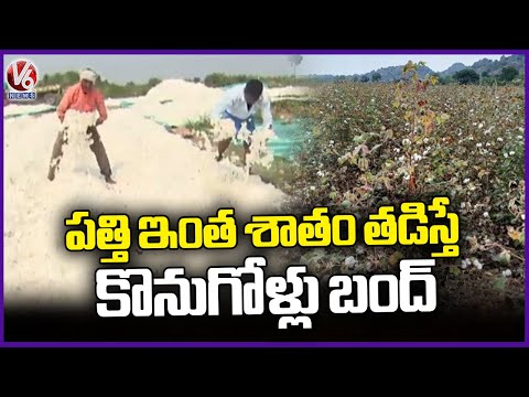 CCI Ginning Mills Stop Cotton Purchase in District, Farmers in Trouble | V6 News - V6NEWSTELUGU