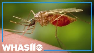 First Case Of Oropouche Virus Reported In Jefferson County