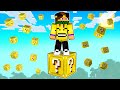 HO GIOCATO A MINECRAFT IN UN SOLO LUCKY BLOCK