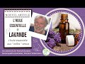 Lhuile essentielle de lavande en naturopathie animale