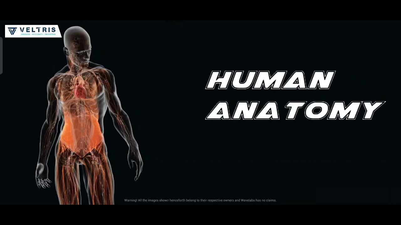An Augmented Reality App for Human Anatomy - YouTube