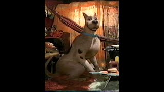 Scooby Doo: Scooby (2002) (VHS Capture)