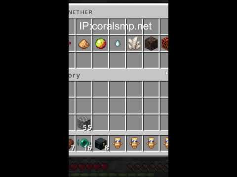 PLAYING MINECRAFT CORALSMP.NET