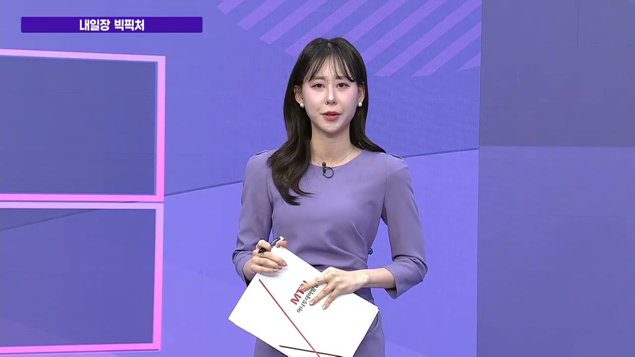 [내일장 빅픽처] 조기 대선에 정책주로 옮겨간 수급 메가엠디 / 머니투데이방송 (증시, 증권)