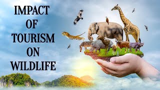 IMPACT OF TOURISM ON WILDLIFE II BOTH +VE AND -VE II FULL EXPLANATION