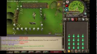 Botting.rs - Nightmare Zone Prayer Flick - Infinite Prayer
