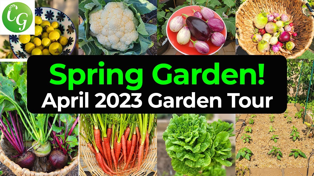 California Springtime Garden Revealed: Uncovering Nature's Secrets ...
