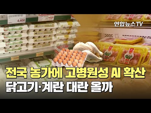 전국 농가에 고병원성 AI 확산…닭고기·계란 대란 올까 / 연합뉴스TV (YonhapnewsTV)