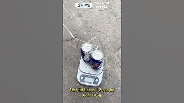 Cần Câu Tay TRÚC XANH 2M7/3M6/4M5/5M4 - Cần Câu Đài Shimano Giá Rẻ, Cần Câu Cá Cacbon Đồ Câu Shiwa