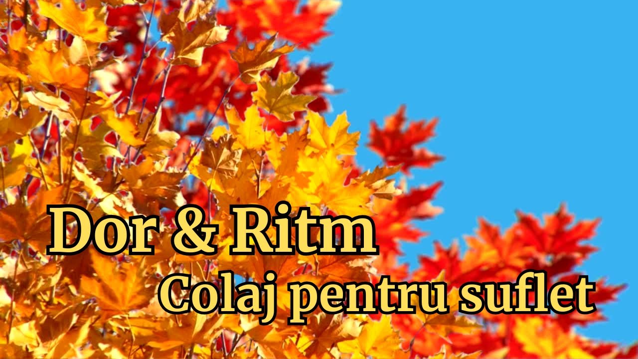 🎶 Dor & Ritm – Colaj pentru suflet ❤️ Volumul 2 | Muzică originală românească 2025 🎶