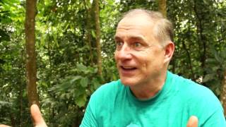 The Crittercam Story Hd