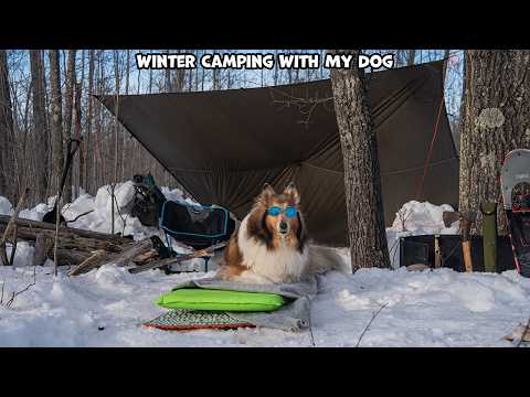 Winter Camping Under A Tarp With My Dog