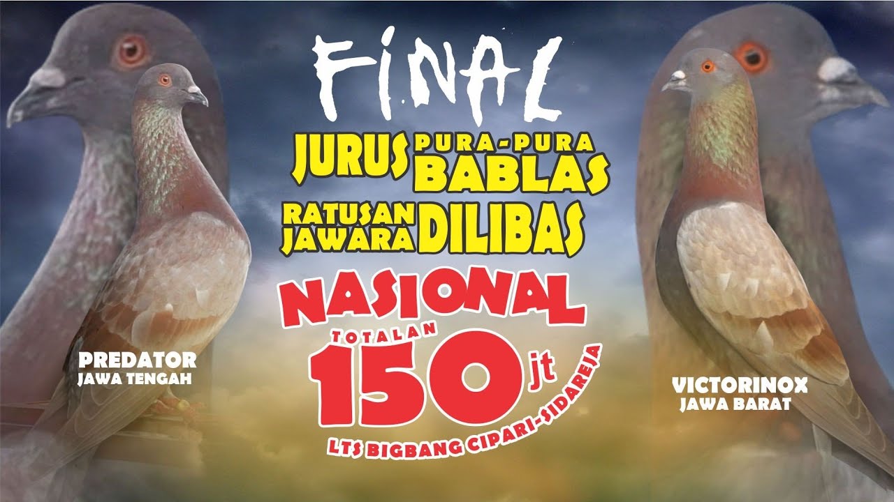 FINAL || Nasional PMTI LTS Big Bang Totalan 150 Juta || PREDATOR vs VICTORINOX
