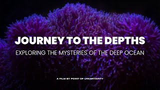 JOURNEY TO THE DEPTHS: Exploring the Mysteries of the Deep Ocean