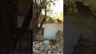 Kütahya Kalesine (Hisar)Giderken Köpek Saldırdı😰Korkudan Öldüm