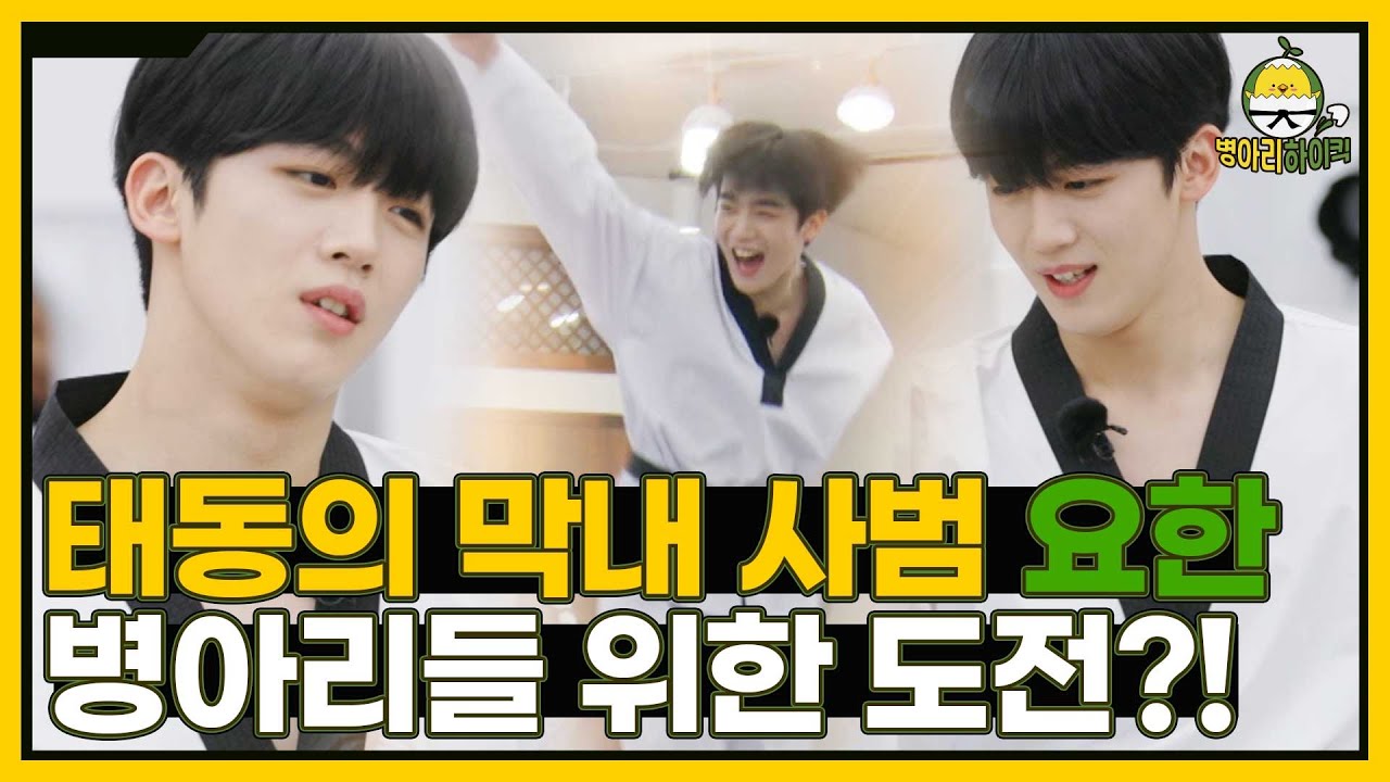 [#김요한] 태권 파이터 요한 사범 겨루기의 진수를 보여주마  I 병아리하이킥 하이라이트