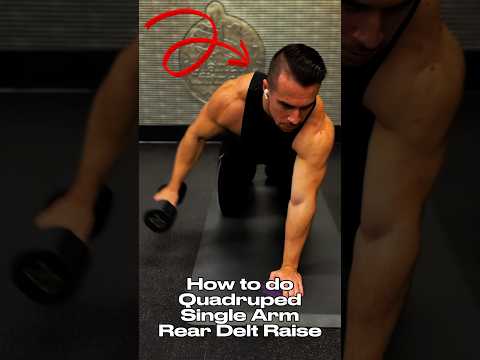 How to do Quadruped Single Arm Rear Delt Raise #dumbbell #deltoids #delts #howto #workout
