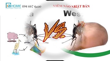 Lưới Chống Muỗi Ở Quận 9 IZI Home