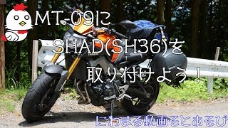 【SHAD】MT-09にパニアケースを！その①【SH36】