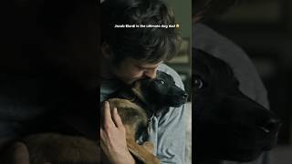 Jacob Elordi Is The Ultimate Dog Dad #TheDogStars
