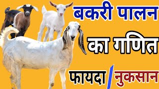 बकरी पालन का गणित फायदा या नुकसान  Goat Farming Profit and Loss आज तक का सबसे शानदार #video #goat