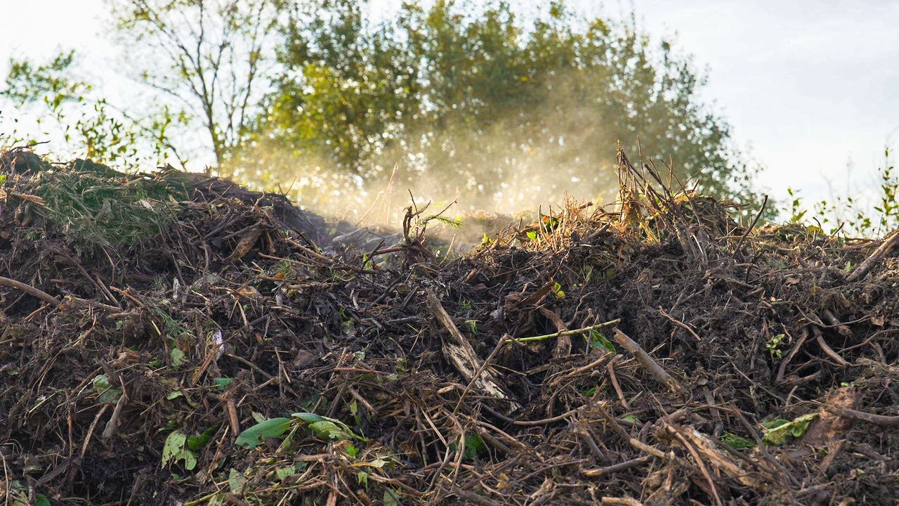H.W. Dohle in Viöl | meinPlus | VR Bank Westküste