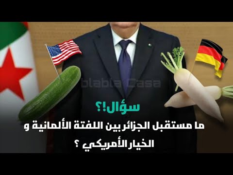 هل خانت الجزائر بنبطوش حوار مع عقلاء العالم الاخر