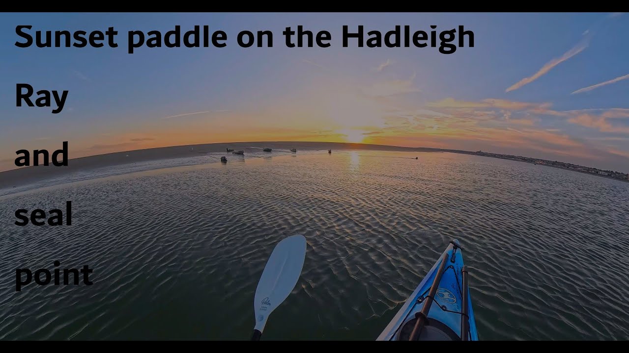 Sunset paddle sea kayak to seal point and southend pier