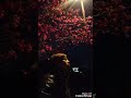 夜の河津桜の下で歌う 森山直太朗「さくら」