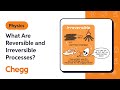 Thermodynamics: Reversible and Irreversible Processes
