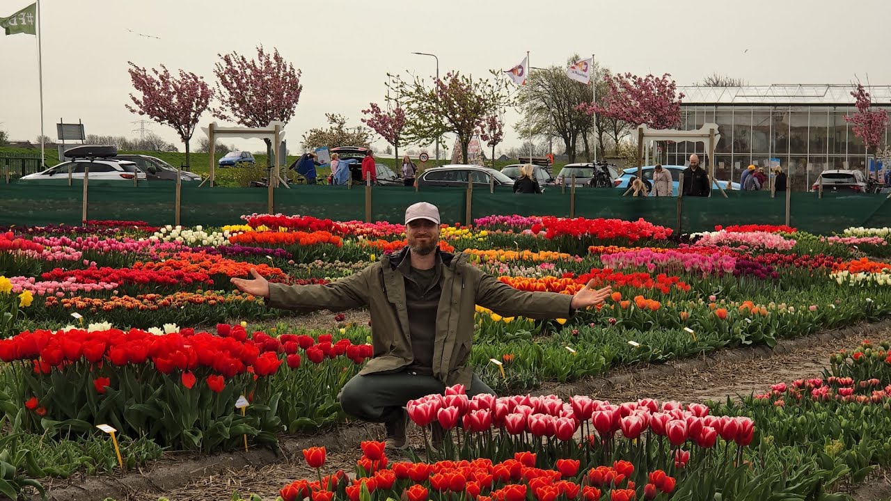 Pluktuin Julianadorp 2024.