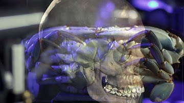 3D Scanning at the Smithsonian