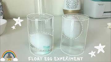 Floating Egg Experiment | Density