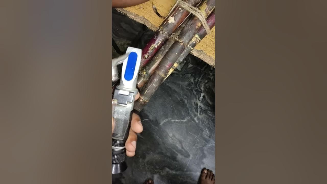 Refractometer use Sugarcane sucrose level testing function of