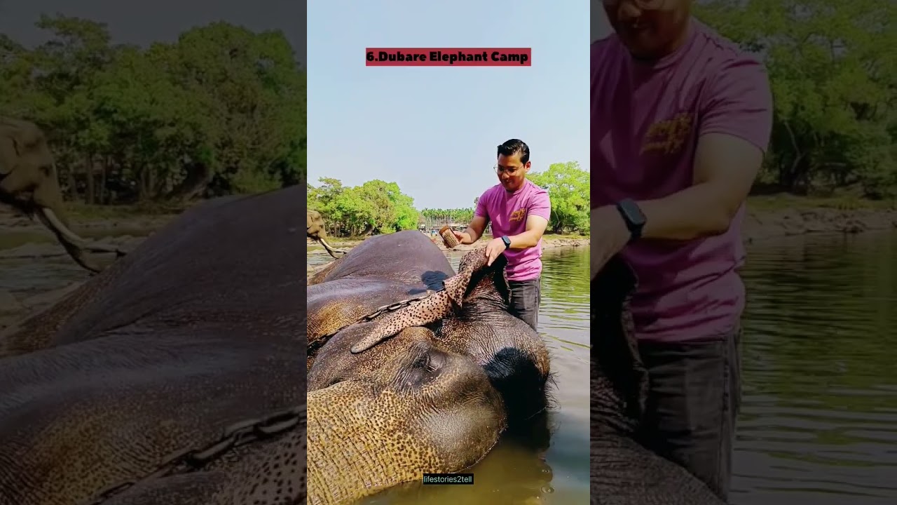 Top places to visit in Coorg 