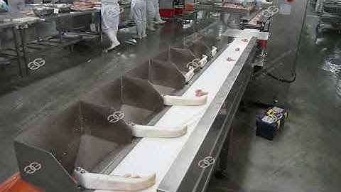 Chicken  Wing Sorting Machine