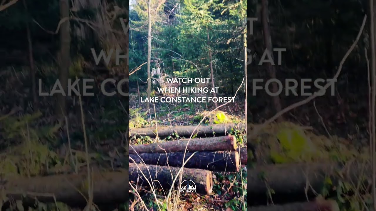 We've got it! Proof of DINOSAURS on Lake Constance, scam or truth?