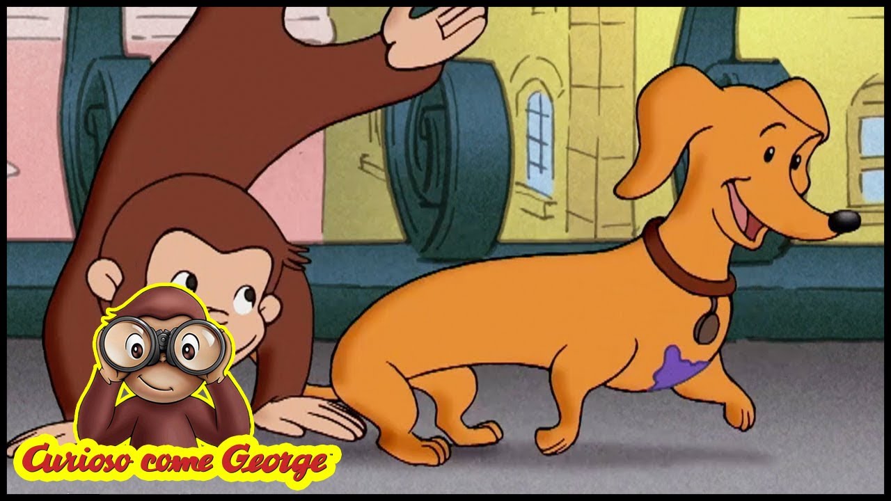 Curious George 🐵 A Real Dog 🐵 Cartoons for Children 🐵 Season 2 