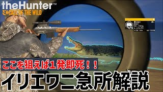 【ザハンターコールオブザワイルド】イリエワニ狩りマスターになろう！！！！【theHunter: Call of the Wild 】 screenshot 1