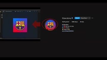 Download instagram profile photo using python