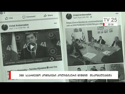 ენმ: საარჩევნო კომისიები პოლიტიკური ნიშნით დაკომპლექტდა